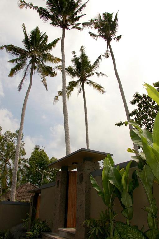 Villa Private Pool,273317569:JPEG